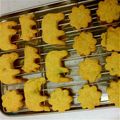 マンゴータルトちゃん's cooksnap of when they made アレルギー対応☆かぼちゃの米粉クッキー.