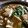 ごごんた's cooksnap of when they made くずし豆腐のいろいろきのこあんかけ☆.