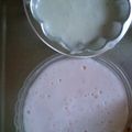 m３４'s cooksnap of when they made ヨーグルトの淡雪ババロア.