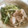 加齢なる老い込み's cooksnap of when they made 簡単♪水菜とお肉の炊いたん.