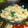 かなちょん☆☆'s cooksnap of when they made 簡単　おからで卯の花.