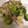 verafredy's cooksnap of when they made さくフワたこまよ.