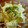 月見なっとう's cooksnap of when they made はんぺんのわさびマヨ和え♪.