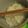ぴろろごはん's cooksnap of when they made ｍ鍋で炊く白ごはん.