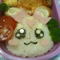 けうたん's cooksnap of when they made プリキュア★キャンディ弁当.