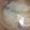 naokisachi's cooksnap of when they made ほっこり＊みぞれ鍋.