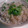 ゆやこ☆'s cooksnap of when they made 秋の定番＊サンマの炊き込みご飯.