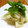 payako's cooksnap of when they made 旬を味わう♪　筍の酢味噌和え.