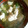 chiarichan's cooksnap of when they made ふわっふわ☆いわしのつみれ.