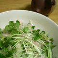 ぴーの助's cooksnap of when they made 簡単和えるだけ♪春雨サラダ.
