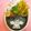 ごりごりら's cooksnap of when they made ふわふわ天使のお弁当.