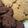 くるみたんv's cooksnap of when they made サツマイモしっとりクッキー.