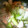 梨維湖's cooksnap of when they made 旨い！鶏肉とレタスの簡単炒め.