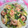 七色ワクチン's cooksnap of when they made 海老と小松菜のふんわり玉子炒め.