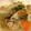 y_january's cooksnap of when they made 白菜と鶏肉の本だし煮込み.