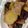 〜yukky〜's cooksnap of when they made お芋・りんご・レーズンの紅茶煮　.
