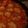 miitamu's cooksnap of when they made ようこでも作れる簡単ふわふわ鶏だんご.