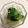 ほしこ1122's cooksnap of when they made 干しエビとチンゲン菜の蒸し炒め.
