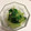 ほしこ1122's cooksnap of when they made 干しエビとチンゲン菜の蒸し炒め.