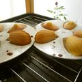 あっぷるカモミール's cooksnap of when they made ふんわりしっとりマドレーヌ.