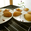 あっぷるカモミール's cooksnap of when they made ふんわりしっとりマドレーヌ.