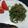 かあたらあ's cooksnap of when they made ピーマンとじゃこのきんぴら.