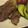 ｙｅａｈ！'s cooksnap of when they made うちの豚バラの野菜巻き巻き.