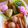 marilin36's cooksnap of when they made かまぼこの飾りきり✿かわいいお花✿.