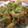 tomokoshiawase's cooksnap of when they made ほうれん草のきなこ和え.