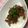 ＊☆ERI☆＊'s cooksnap of when they made 茄子ミンチ丼.