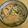 さえこ1108's cooksnap of when they made 簡単に作る＊関西風＊きつねうどん＊.