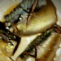 うさうさかいる's cooksnap of when they made 料理の定番♪鯖の煮付け☆.