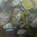 フットサ's cooksnap of when they made レンジで簡単♪レバーオイスター煮.