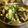 ハーフのマミー's cooksnap of when they made プラスワンメニュー“蒸しナスの生姜しょうゆがけ”by電子レンジ.