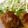 まり2009's cooksnap of when they made ポテサラ豚でまいちゃった☆焼き肉風味.