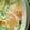 imori0529's cooksnap of when they made 土鍋で豆乳味噌煮込みうどん.