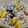 kei5432's cooksnap of when they made ☆ほっこり甘い栗ごはん☆.