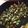 いっちーまうす's cooksnap of when they made 大豆と枝豆のペペロンチーノ.