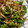 peppermint13's cooksnap of when they made ピーマンとちりめんの甘辛いため.