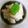 バウンド's cooksnap of when they made 柿と胡桃の蜂蜜カッテージチーズ和え.