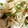 のぞみぞの's cooksnap of when they made 残り野菜炒め.