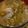 遼くん's cooksnap of when they made なめこの豚汁.