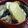 ないすばでぃ's cooksnap of when they made お子さん　喜ぶ！　最高卵焼き.
