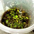 takenyaa's cooksnap of when they made 簡単本格餃子のタレ.