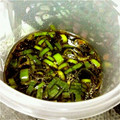 takenyaa's cooksnap of when they made 簡単本格餃子のタレ.