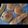とみんこ's cooksnap of when they made ココア風味のスナックパン（天然酵母）.