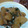 すぬすぬ〜's cooksnap of when they made 鶏肉と大根の中華あんかけ炒め.