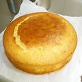 みのむしコロりん's cooksnap of when they made しっとり～ヨーグルトケーキ.