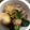 8jasmint8's cooksnap of when they made めっちゃ簡単！手羽元のお酢煮.