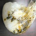▷れっど's cooksnap of when they made 高菜としょうがのおにぎり.
